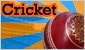 Play game Cricket V2