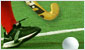 Play game Field Hockey