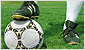Play game Free Kicks