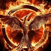 Hunger Games Catching Fire Game - iPhone Games