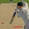 Flash Cricket Game - Cricket Games